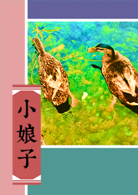 小娘子电视剧免费看