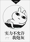 实力不允许的意思